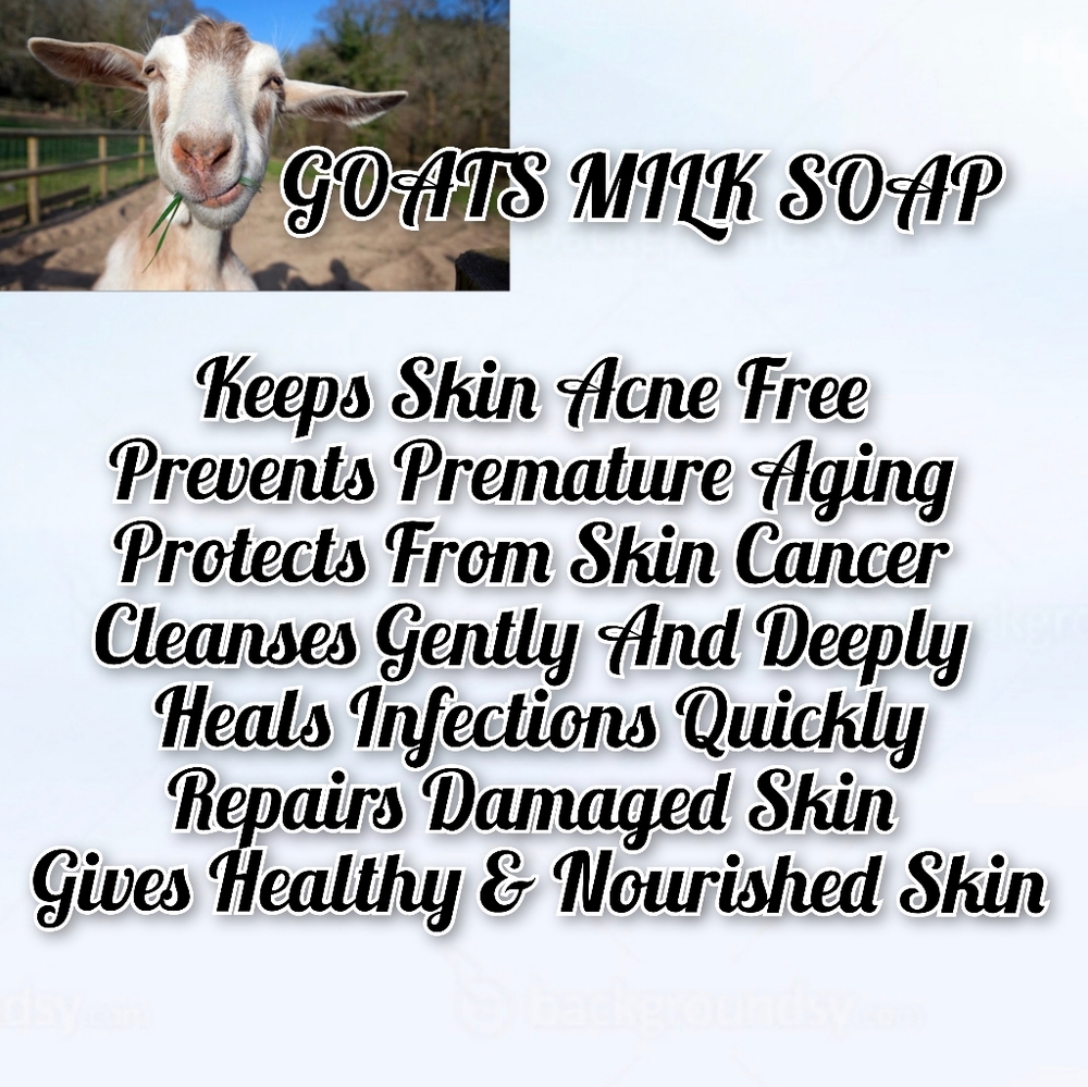 GOATS MILK SOAP BENEFITS Nature's Skin Food At its finest Orchid & Vine